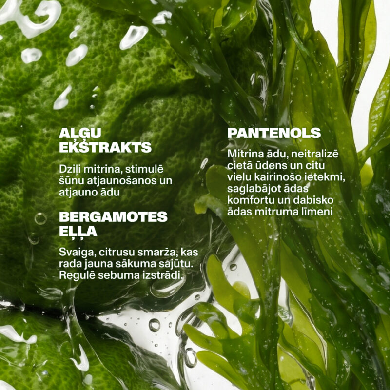 Dzintars CONSIDER THIS MY RENAISSANCE body cleanser key ingredients — algae extract deeply moisturises and stimulates cell renewal; panthenol neutralises hard water irritants and maintains skin comfort; bergamot oil fresh citrus scent regulates sebum production