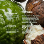 Dzintars CONSIDER THIS MY RENAISSANCE body cream key ingredients — algae extract deeply moisturises and stimulates cell renewal; panthenol long-lasting moisture and barrier renewal for dry cracked sunburned skin; shea butter nourishes and protects; bergamot oil fresh citrus scent regulates sebum