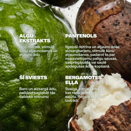 Dzintars CONSIDER THIS MY RENAISSANCE body cream key ingredients — algae extract deeply moisturises and stimulates cell renewal; panthenol long-lasting moisture and barrier renewal for dry cracked sunburned skin; shea butter nourishes and protects; bergamot oil fresh citrus scent regulates sebum