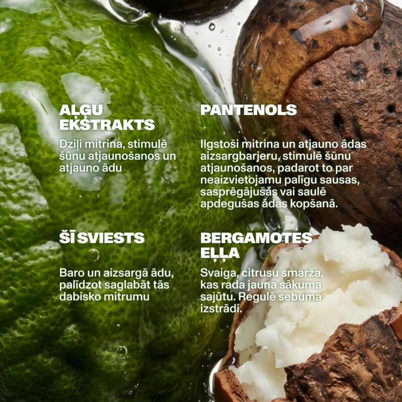 Dzintars CONSIDER THIS MY RENAISSANCE body cream key ingredients — algae extract deeply moisturises and stimulates cell renewal; panthenol long-lasting moisture and barrier renewal for dry cracked sunburned skin; shea butter nourishes and protects; bergamot oil fresh citrus scent regulates sebum